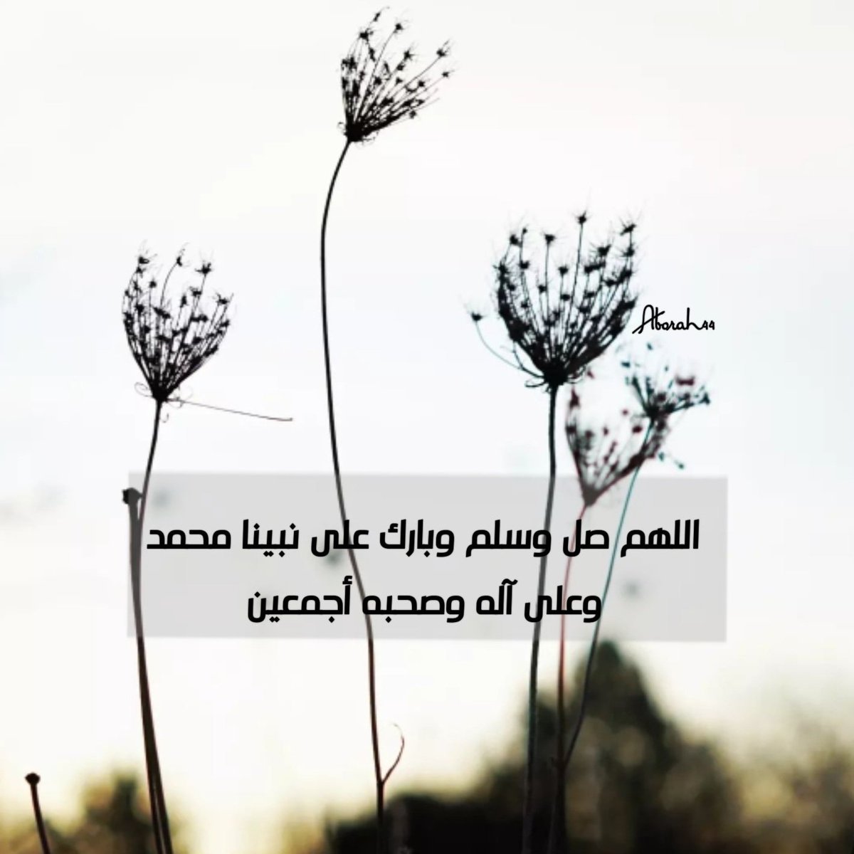 AMoafaq's tweet photo. https://t.co/dw309WOhsI