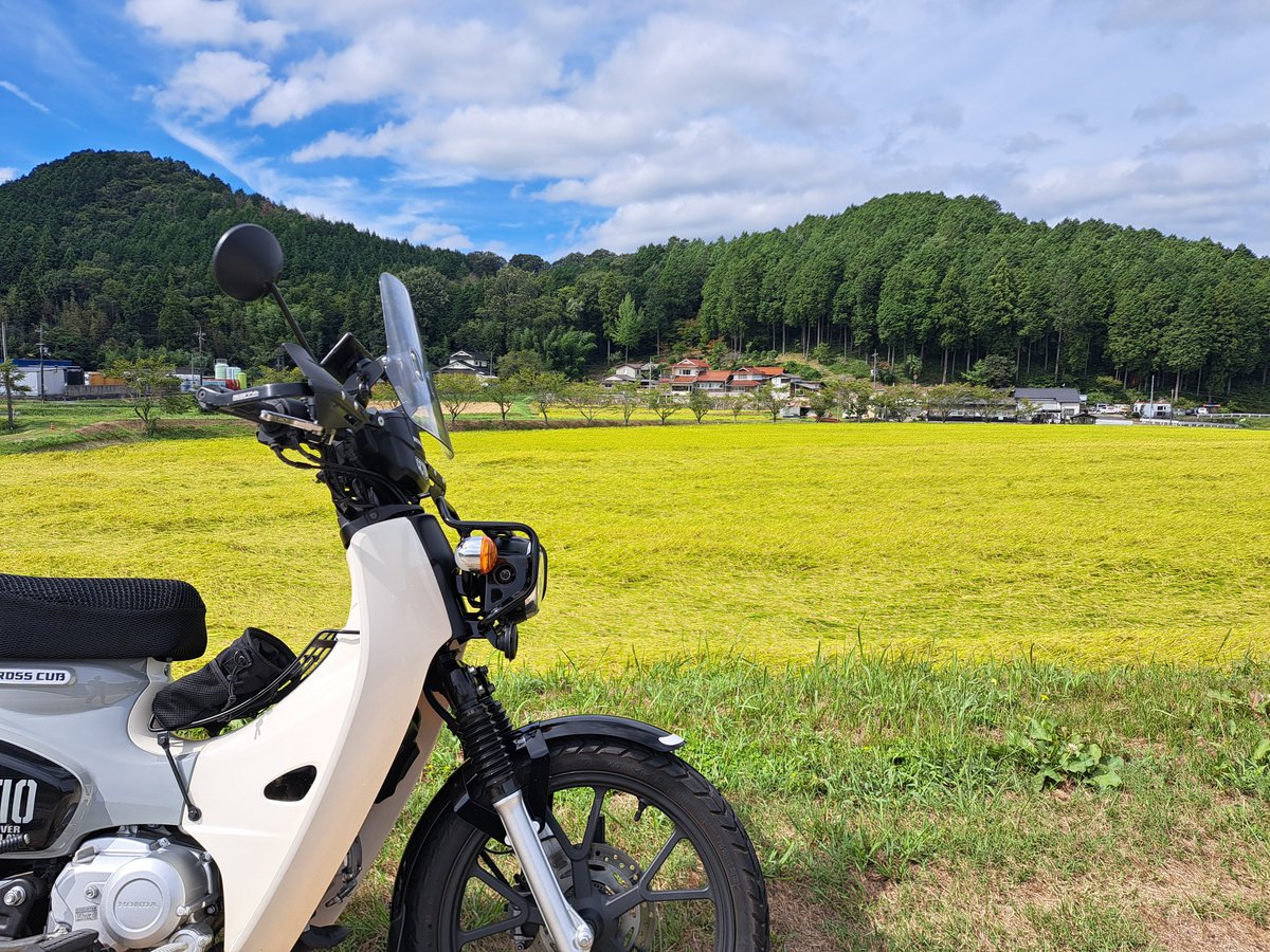 grom_Touring's tweet photo. 朝はメッシュジャケットだと寒いです。
結局雨降らないみたいだから稲穂観察 https://t.co/qZVEWPStCB