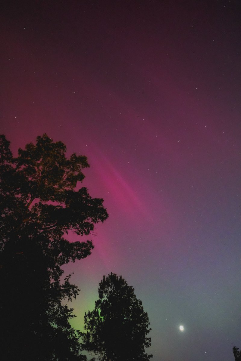 NoisyButters's tweet photo. thinkin about that one time you could see the northern lights over GA so i went to the lake to take pictures

a magical memory, i hope yall hav magical events you reflect on 💕 good for the soul https://t.co/51IdyS6bhP