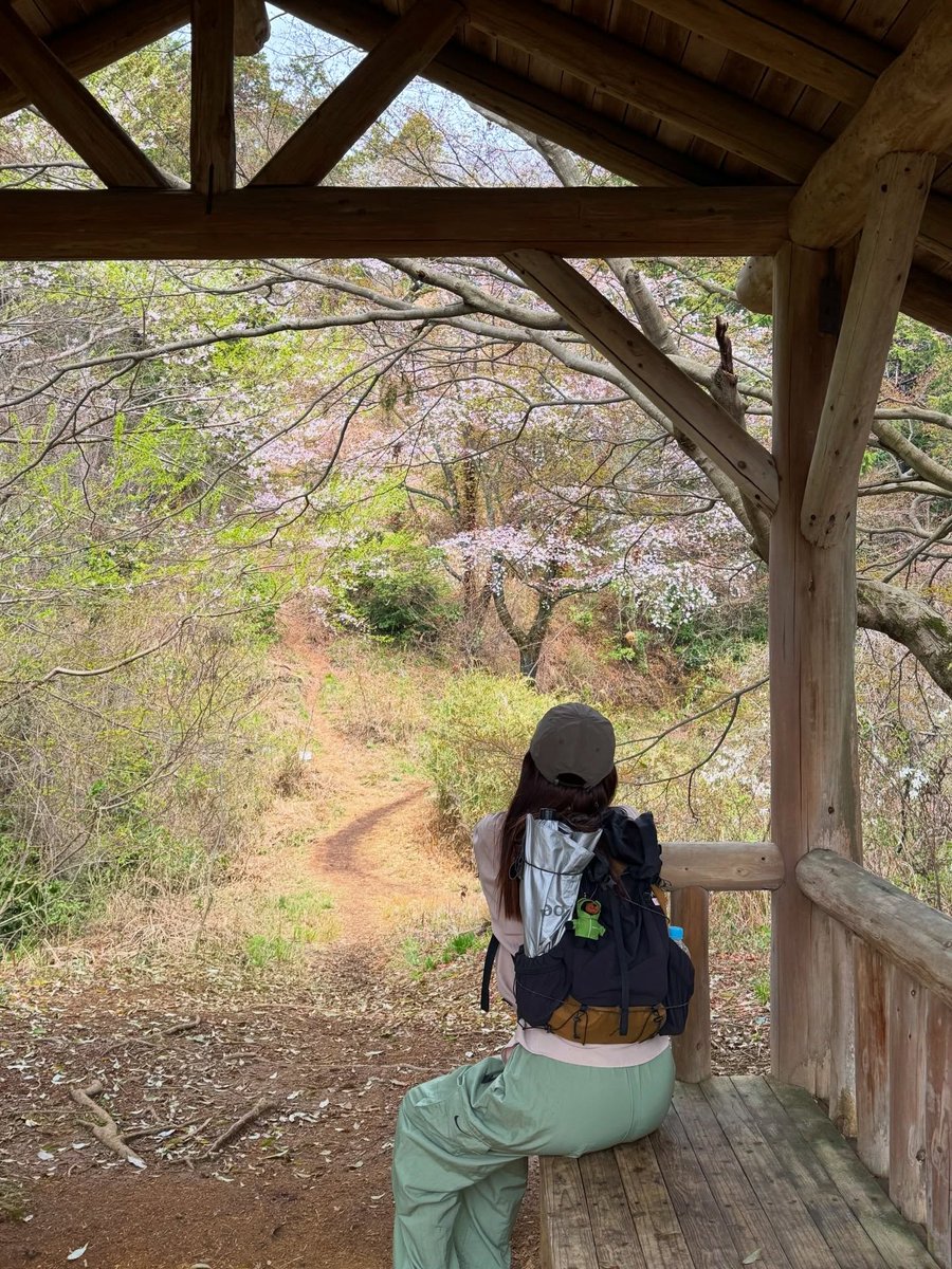 madopisama's tweet photo. 自然の中で、心までリセット。😊

#山旅フォト#東京都#高尾山#たかおさ��#山好きな人と繋がりたい https://t.co/M7dN0oMJ4x