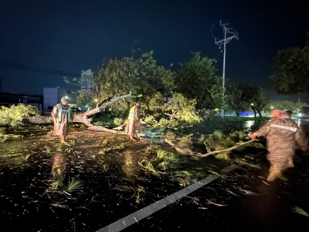FUERZARMADASV's tweet photo. En la Carretera Panamericana, a la altura del kilómetro 36½, en Ciudad Arce, La Libertad Centro, soldados del Regimiento de Caballería removieron un árbol caído que obstruía el paso vehicular en la zona. https://t.co/qj1zVfpY44
