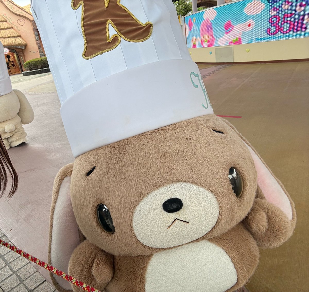 n2_n4__'s tweet photo. ツーショとれた😭🎶ちっちゃいから上目遣いでかわいい、、、 https://t.co/p7GsijhWhl