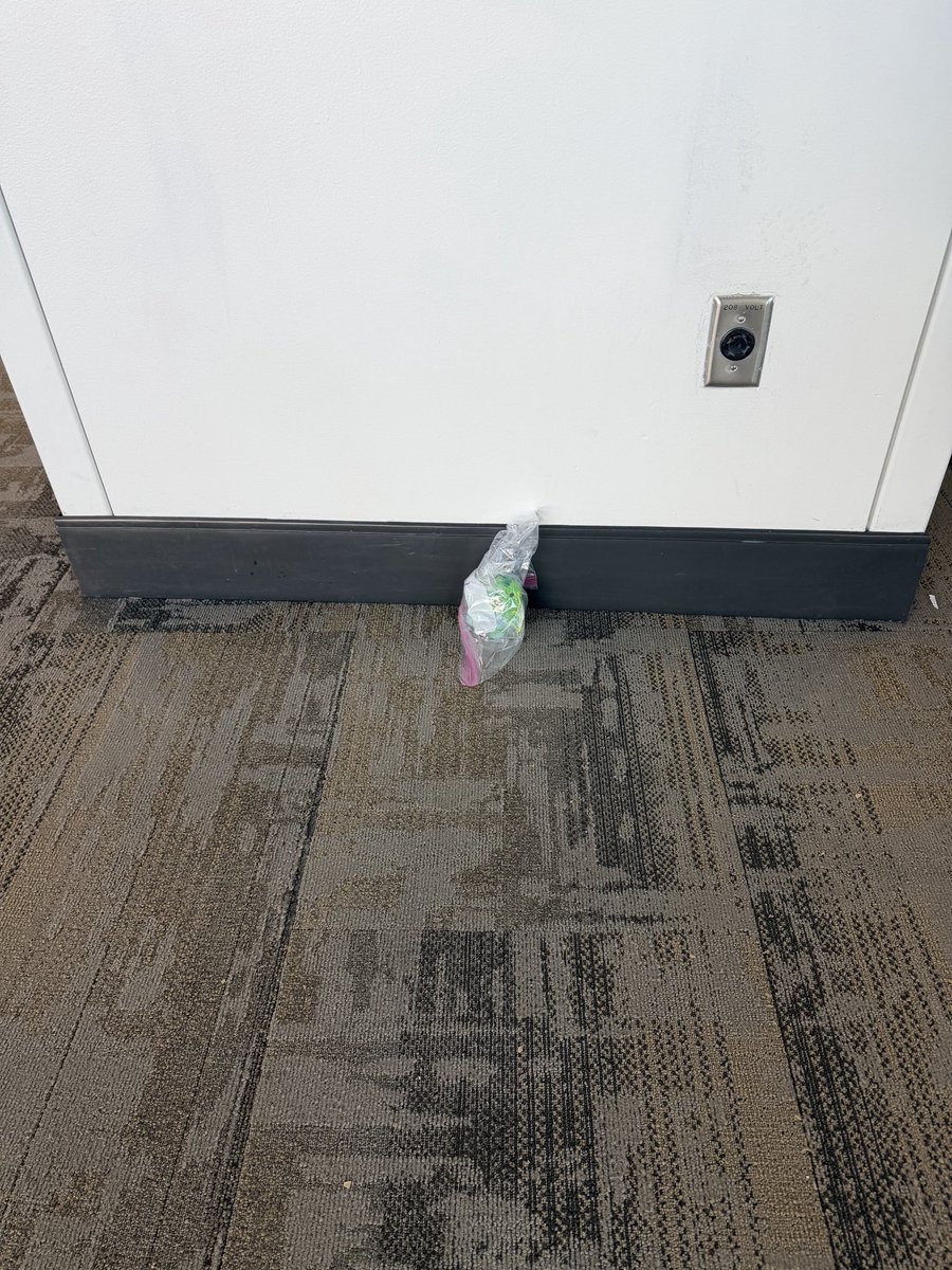 PWFiberarts's tweet photo. I did a toy drop at Anime San Diego 2026 today this chubzilla was placed here and it was found . #lootdrop #toydrop #critterdrop #AnimeSanDiego2026 #artdrop https://t.co/FcFDUagWdD