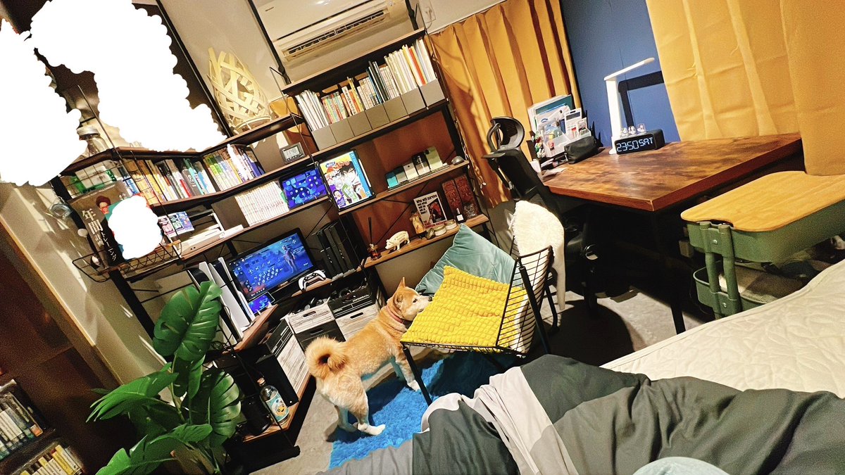 kikistation's tweet photo. 低浮上を極めている間に
一人暮らしマンションを引き払って実家の離れの狭いアパート(実祖母が住んでた事故物件)を好き勝手模様替えして悠々自適に半一人暮らしを始めていた… https://t.co/vQ4v9GbH2V
