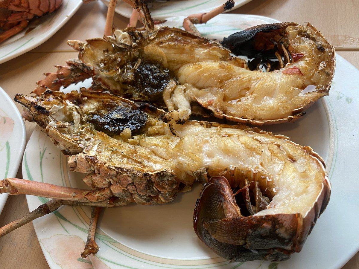 UJIPON02's tweet photo. 今日はみんなで伊勢海老祭りの予定が悪天候により中止🦐💦
でも近くのお店で食べれたから良かった♪
幸せ✨️ https://t.co/nOQl3JK9qp