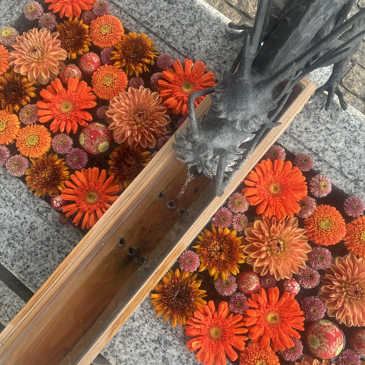 dicipeu's tweet photo. 今週の花手水

＊川越八幡宮 https://t.co/hyOD0zjzAY