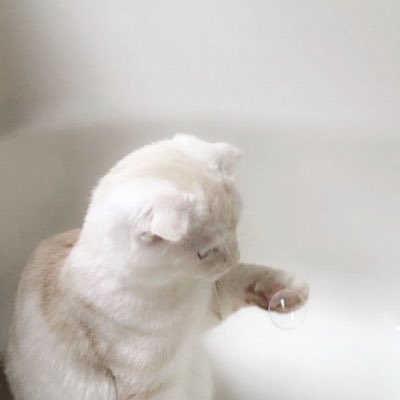 anffy_ils21's tweet photo. #新しいプロフィール画像 https://t.co/6aotgQTqRI