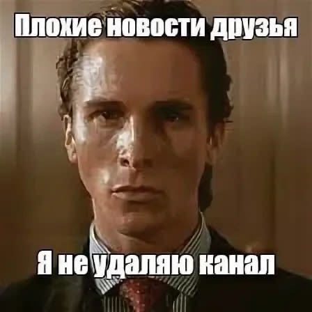 neroohuu's tweet photo. Всем кискам пис, я проснулась https://t.co/5v5754RIhG
