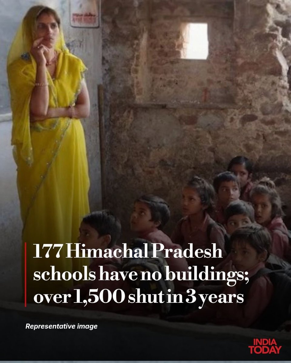 desimojito's tweet photo. Cockroaches not travelling to Himachal? https://t.co/K5AJeniYqD