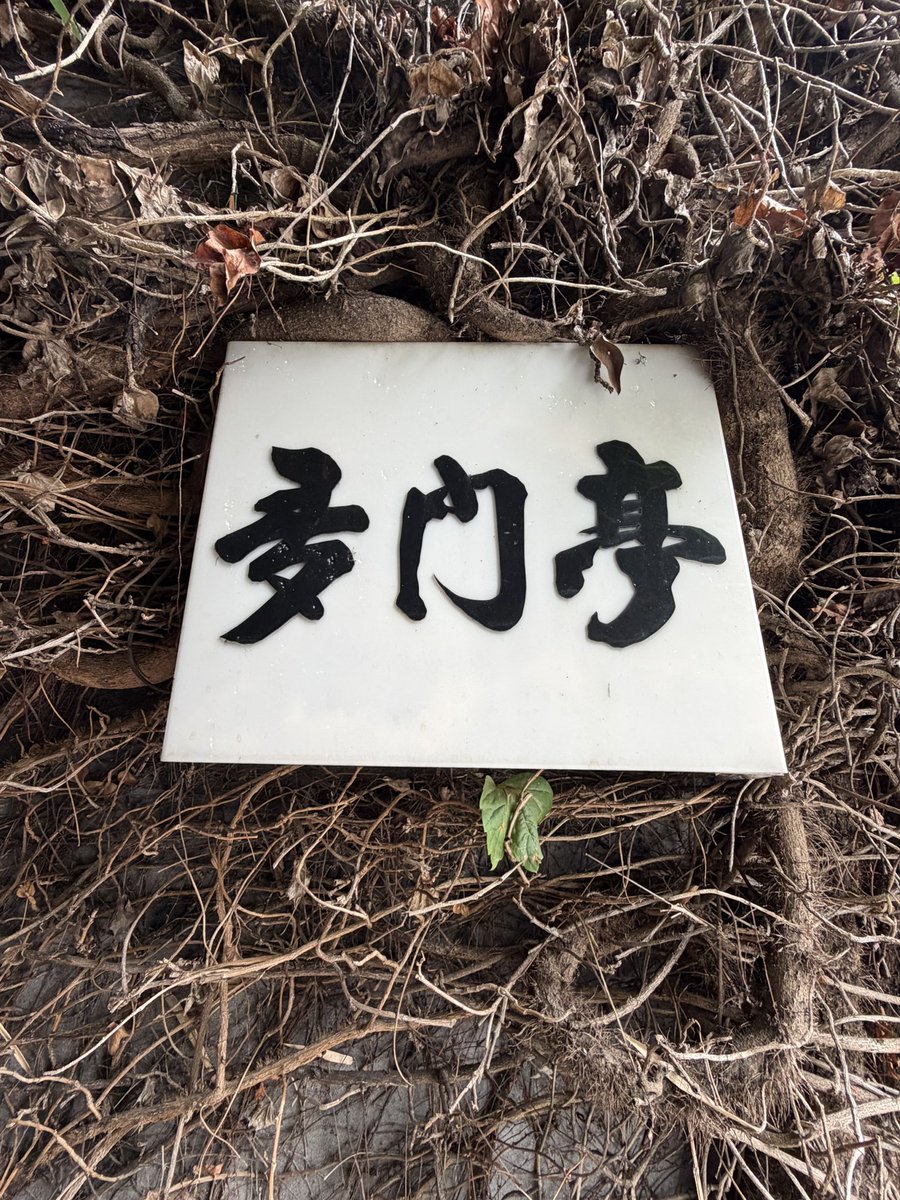 Unaoh1967's tweet photo. 足跡巡りで多門亭に行って来ました👣
12時迄に食べ終わるならとの条件で入れてもらえました。
とても美味しくいただきました。お客様はほぼうなぎでした😂
２階のグンちゃんの部屋も見せていただきました
他のうなぎさんが食事していましたが、気持ちよく対応してくれました。ありがとうございます🙇🏻‍♂️ https://t.co/kCRKCjI8Iw