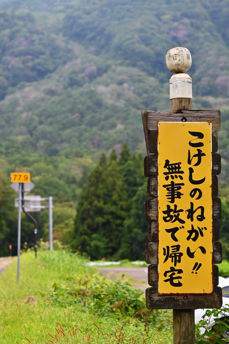 119jiminy's tweet photo. 自然の中！！ https://t.co/VyC1fqxmgS