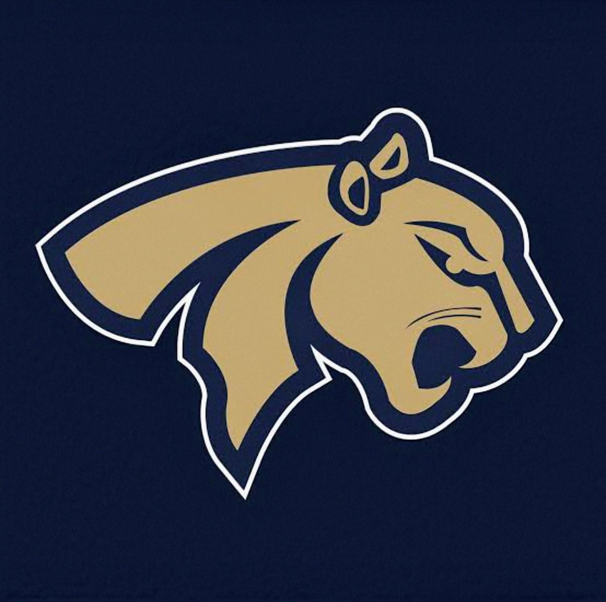 serimasmx's tweet photo. *ONEFA: S1 NACIONAL PUMAS ACATLÁN VS BÚHOS GUINDA IPN*

Reseña del juego realizado en el Estadio Principal de la FES Acatlán de la UNAM. https://t.co/vQDGbimmya