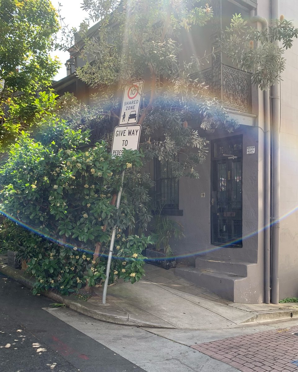 ADEMSUGAR's tweet photo. https://t.co/0GtVtViKe7