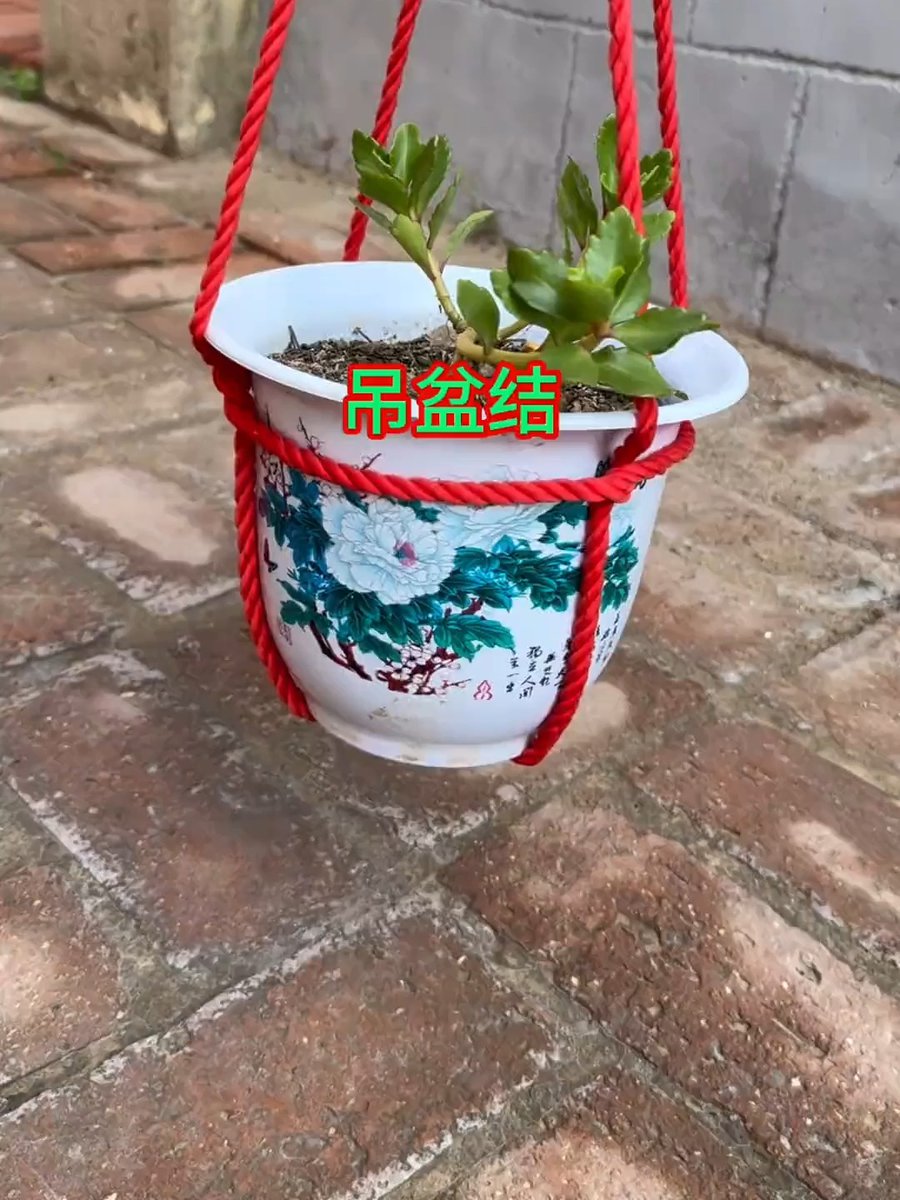 NH2200's tweet photo. Just finished this cute macramé plant hanger made with leftover cotton cord! Super easy DIY that adds a cozy touch to my small balcony  #DIYCrafts https://t.co/LF2gENiwSD