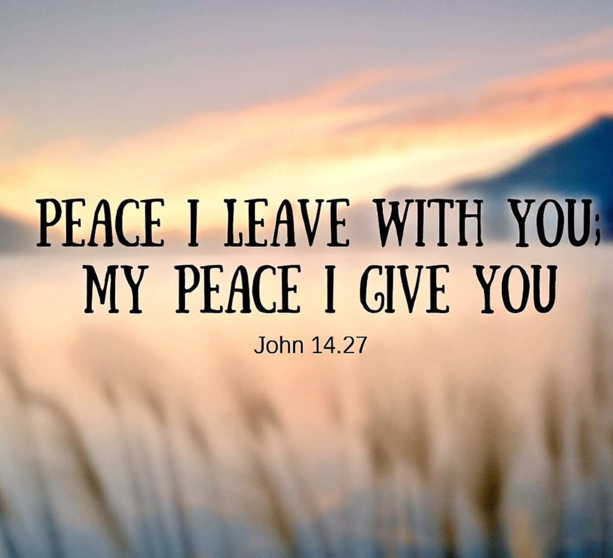 TumediTrevor's tweet photo. God is with you through every trial, offering constant strength, comfort, and guidance wherever you go.

#TheSacredSpace 🐎💥 #KingdomKulture https://t.co/ndEKEcASSp