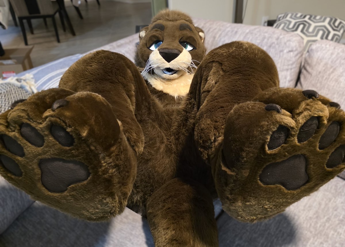 Rudder_Otter's tweet photo. "Like this?" He says wondering if they'll pull the burr off of his paw quickly. https://t.co/zDmnVDKEMu