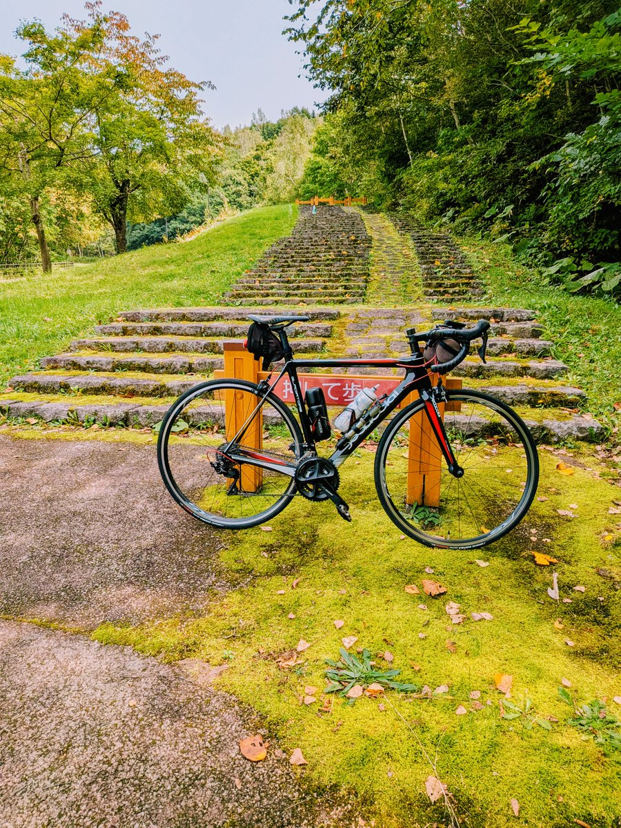 mook_jpn's tweet photo. 「 #白帆の滝 」入口付近🚴💨
ススキ🌾かな？秋🍁来たかな？
この風景撮るのに3分滞在で5箇所刺されました😵
ウェアの上からも刺しに来るストロング💪な蚊🦟でした
#国営滝野すずらん丘陵公園 #秋ライド #ご近所ライド https://t.co/iKVVx7Takr