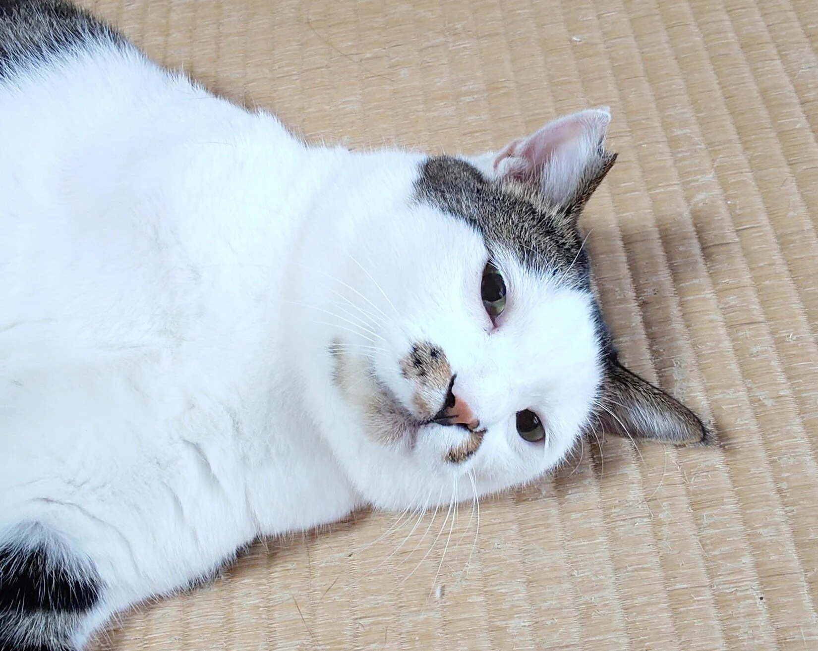 のりまき様へ♥9/25 のりまきとやさしい毎日 على X: 