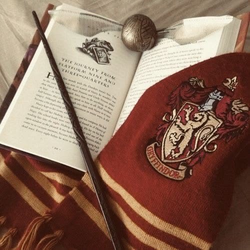 Lilou2099's tweet photo. Gunwoojin attending Hogwarts as students. Gun-woo being a transfer student arriving at Hogwarts for the sixth year then meeting Woo-jin and becoming friends. Best friends to lovers...🤔🤔 Might as well write my first fic... https://t.co/TcecPwmqIY