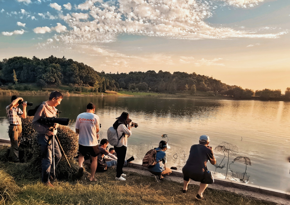 burhankocaman's tweet photo. Join our Photography Club this Saturday for a sunset shoot at Central Park! Beginners welcome—free tips and group fun guaranteed , https://t.co/GywlW1GxRm