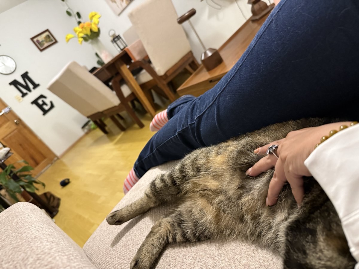 marlene_caltal's tweet photo. Sus patitas con mis piecitos, la amo 😍 https://t.co/BVV1sbeZw8