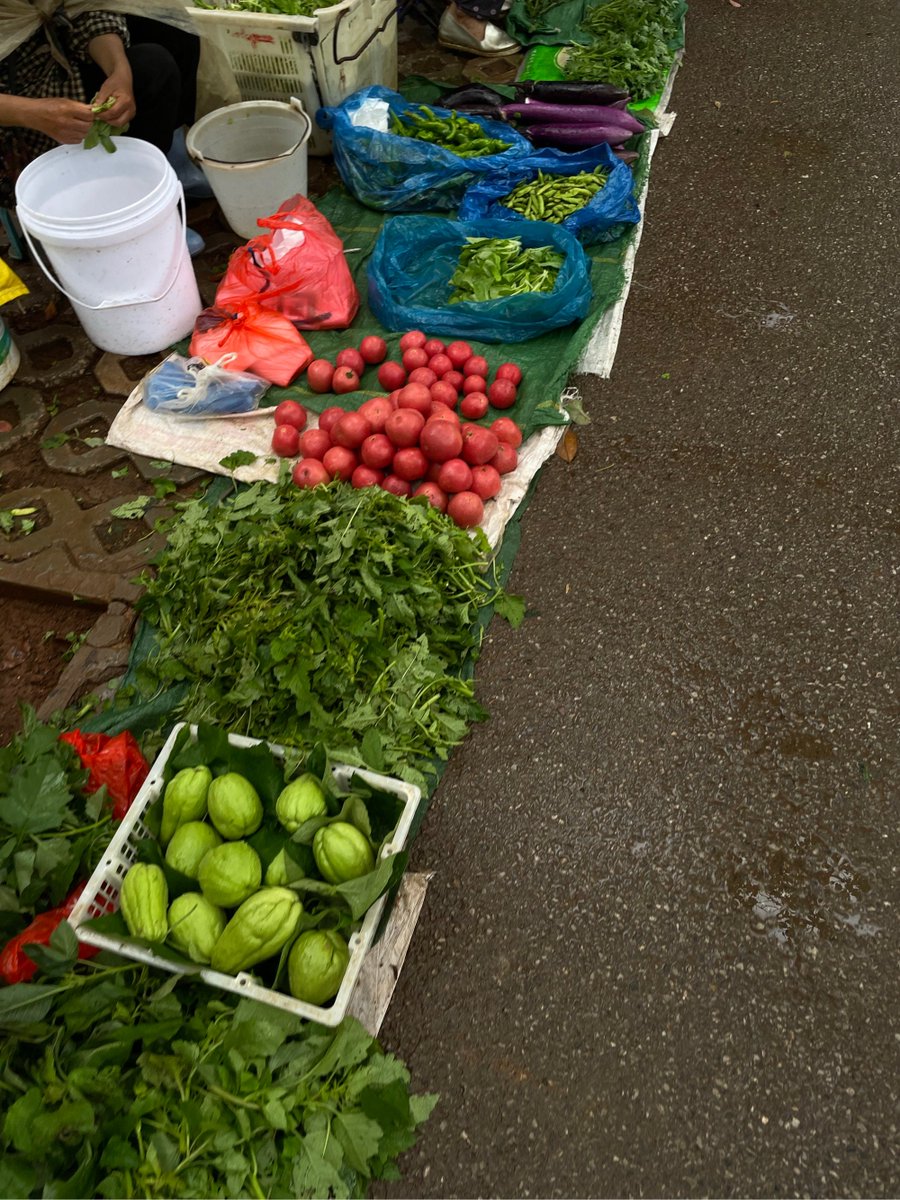 owlsc924961's tweet photo. Fresh local veggies u0026 herbs restocked at our community market! Grab the season’s best produce for your healthy meal prep today – no additives, full of flavor. https://t.co/1EqTSdTGlD