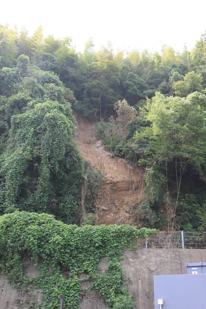 ManYo_Ryojin's tweet photo. 今日から運行再開した
JR氷見線に乗って雨晴海岸へ

豪雨により『道の駅 雨晴』駐車場の裏山から流れ出した土砂に埋まった氷見線は、バラストも入れ替えて綺麗になっていました。

#高岡 #雨晴海岸
#氷見線 #道の駅雨晴 https://t.co/51Yb6ovjHF