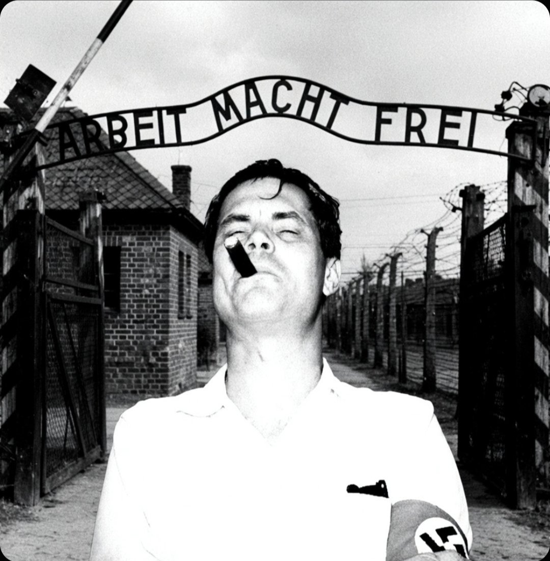 GassedAgain1488's tweet photo. Back from the gas chambers once again. Help me find my frens! o/ https://t.co/ZbdvoznG6W