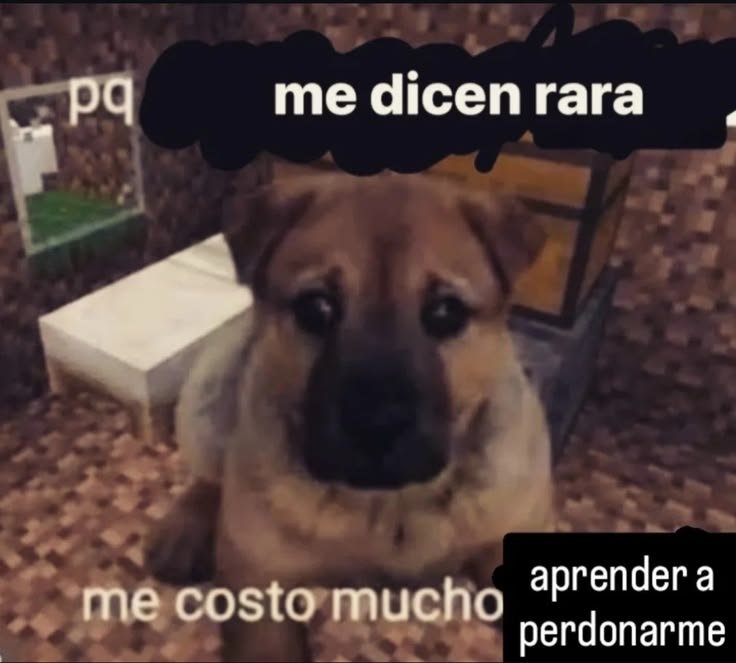 _smkww0_'s tweet photo. Me siento ajeno alrededor de las personas https://t.co/EcSkVEZITl