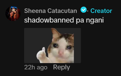 bini_bighani's tweet photo. guys, favor. pa-visit naman ng tiktok ni sheena tapos pa-copy link 🥺 kawawi naman ang bebe na 'yan

🔗: https://t.co/rA2JKkSWZ9 https://t.co/dUDdJkdMUn