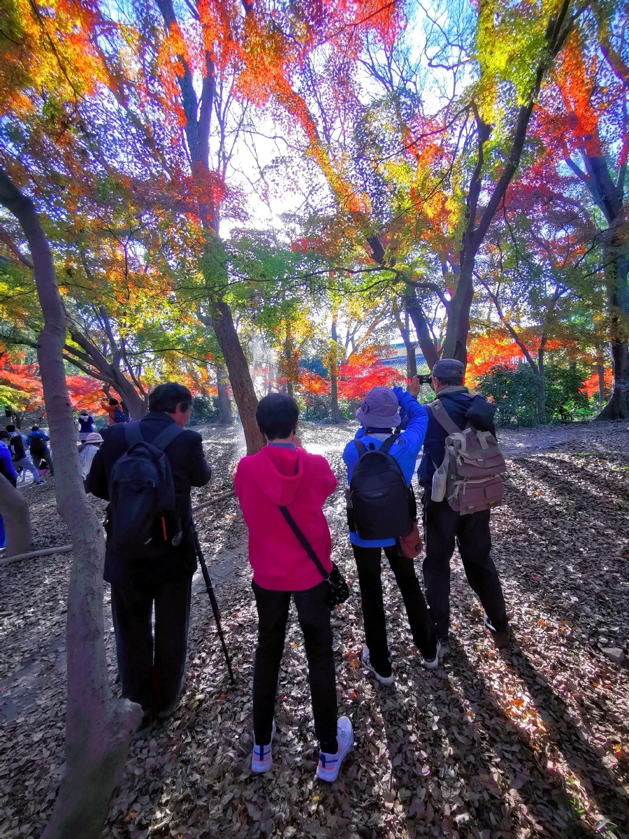 dhm1962's tweet photo. Our campus photography club's autumn outdoor shoot is this Sat! Sign up via the link in bio to capture fall vibes with fellow shutterbugs—spots are filling fast! https://t.co/EI1muCiajb