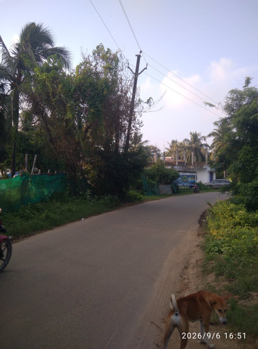 ESambitSahoo's tweet photo. The tilted insulator and pole attached here,  might create issues in the days ahead.Could you pls strengthen its base pouring M25 grade concrete  inside @TPCentralOdisha ?It's located near Ganesh ITI,VIP colony, Astaranga (NED). 

Also,pls remove the stay wire associated with it. https://t.co/1SwZpN1X6d