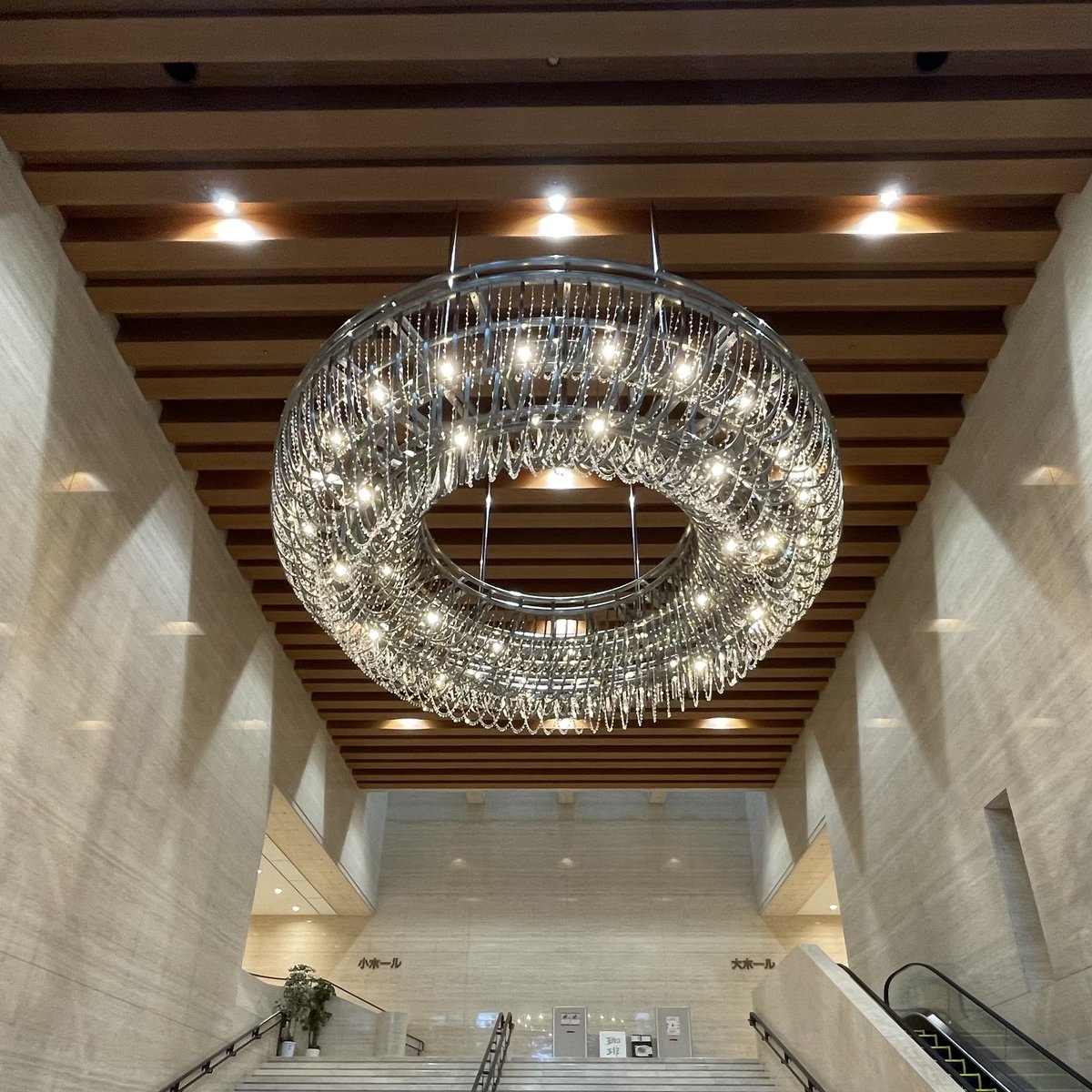 iugoka's tweet photo. Piano duet concert (four-hand piano concert) ..Musashino Civic Cultural Hall..’26.9.6
＞畝る迫力の響きに魂が揺さぶられる https://t.co/ir7o9t6yuV