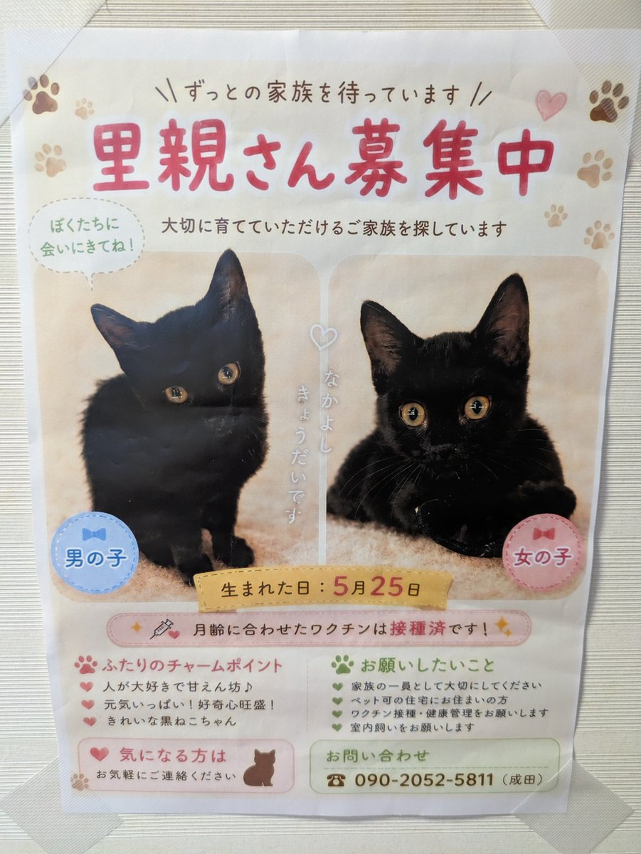 donan_adoptlost's tweet photo. ヒッポ動物病院さんに貼り出されていました✨️ https://t.co/jLvsl9oRhJ