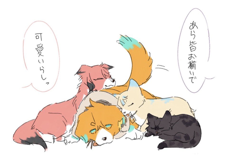 toket_neko's tweet photo. 人気順はこれでした https://t.co/JNB2p2GDnz
