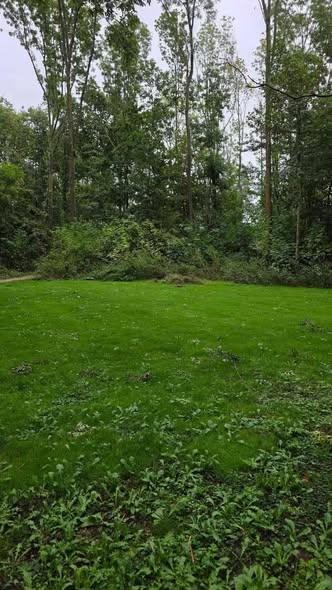 WimdenOudsten's tweet photo. De droogte van de eeuw… en toen ging het gewoon weer regenen
De hele zomer kregen we het verhaal voorgeschoteld.
#Droogte. #Hitte. Gele weilanden. Dor gras. Watertekort. Klimaatverandering. Het nieuwe normaal.
Nederland zou zich moeten schrap zetten. Dit soort zomers zouden we steeds vaker krijgen. De natuur zou het zwaar krijgen en we moesten vooral beseffen dat dit geen incidentje meer was.
Tot ongeveer drie weken geleden.
Toen was Nederland inderdaad geel en dor. Het gras bruin, de bermen verdord en op veel plekken zag het landschap eruit alsof we wekenlang geen druppel regen hadden gezien.
En eerlijk is eerlijk: het was droog.
Maar kijk nu eens naar buiten.
Groen.
Niet een beetje groen. Gewoon ouderwets Nederlands groen.
Het gras schiet weer omhoog. De bomen staan er fris bij. De weilanden kleuren weer groen en de natuur lijkt zich binnen een paar weken volledig te hebben herpakt.
Blijkbaar heeft moeder Natuur haar eigen klimaatbeleid.
Geen miljardenfonds.
Geen klimaattafel.
Geen stikstofdebat.
Geen ambtelijke werkgroep.
Gewoon: regen.
En dat is misschien nog wel het mooiste.
Want als het droog is, krijgen we te horen dat dit het nieuwe normaal is.
Als het regent, blijkt ineens dat de natuur zichzelf uitstekend kan herstellen.
Maar daar hoor je natuurlijk een stuk minder over.
Want “Nederland herstelt zich na een droge zomer” is natuurlijk niet half zo angstaanjagend als “droogte van de eeuw bedreigt onze toekomst.”
En zo werkt het tegenwoordig.
Een paar weken droogte?
Klimaatverandering!
Een paar weken regen?
Ook klimaatverandering!
Groen gras?
Klimaatverandering.
Geel gras?
Klimaatverandering.
Je kunt eigenlijk niet verliezen.
De natuur doet gewoon wat ze altijd heeft gedaan: reageren op het weer.
En misschien is dat wel de belangrijkste les.
Niet iedere droge periode is meteen het bewijs dat Nederland definitief aan het verdorren is.
Net zoals een paar natte weken niet betekenen dat we voortaan in een moeras wonen.
Tot drie weken geleden was Nederland geel, dor en droog. Nu is het weer groen.
De #natuur herstelt zichzelf.
Maar daar kunnen we natuurlijk geen subsidiepot, klimaattafel of noodscenario aan ophangen.
Dus vooral niet te hardop zeggen.
Ewoud Nijeboer