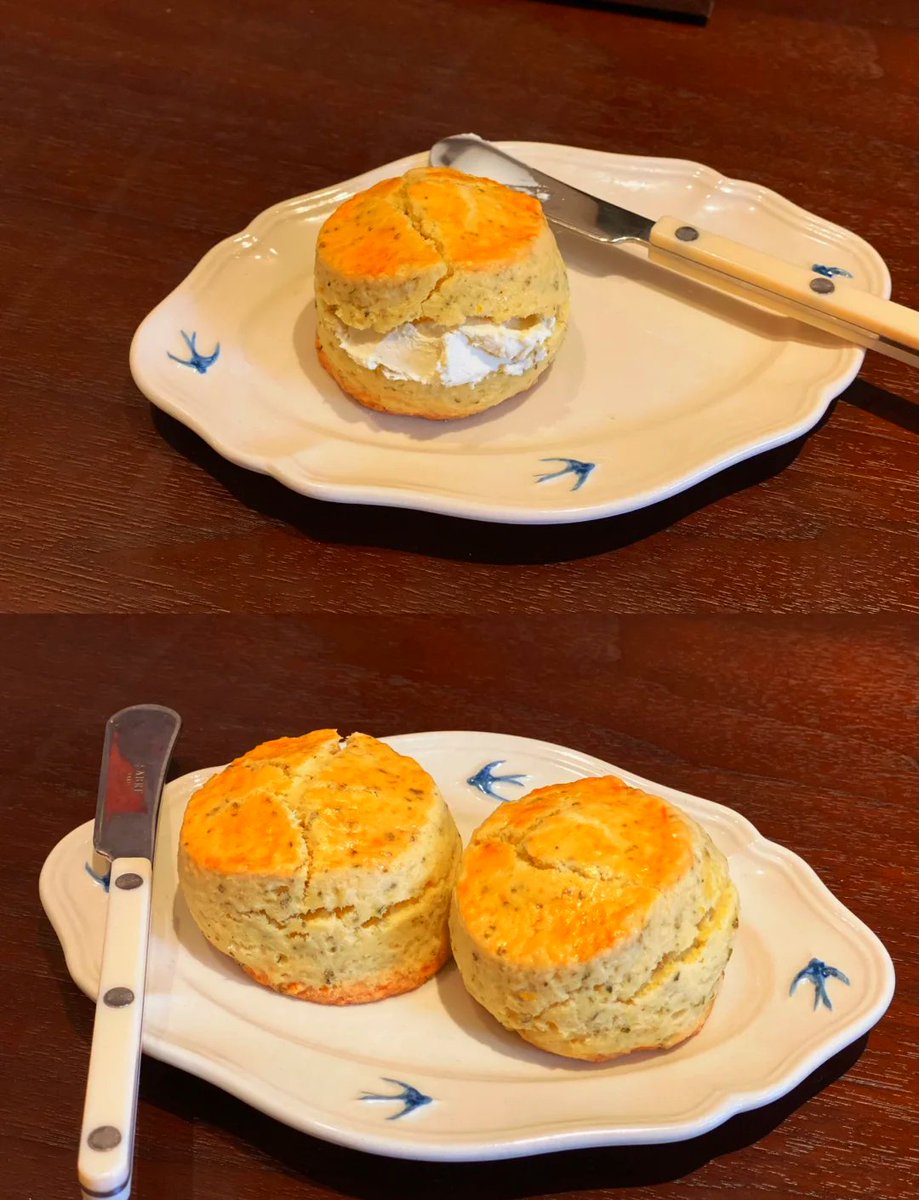 AyseOzkanstxy's tweet photo. Freshly mopped hardwood floor + a half-eaten lemon scone = tiny victory of cozy Sunday afternoon chores. https://t.co/ktO9GIjIln