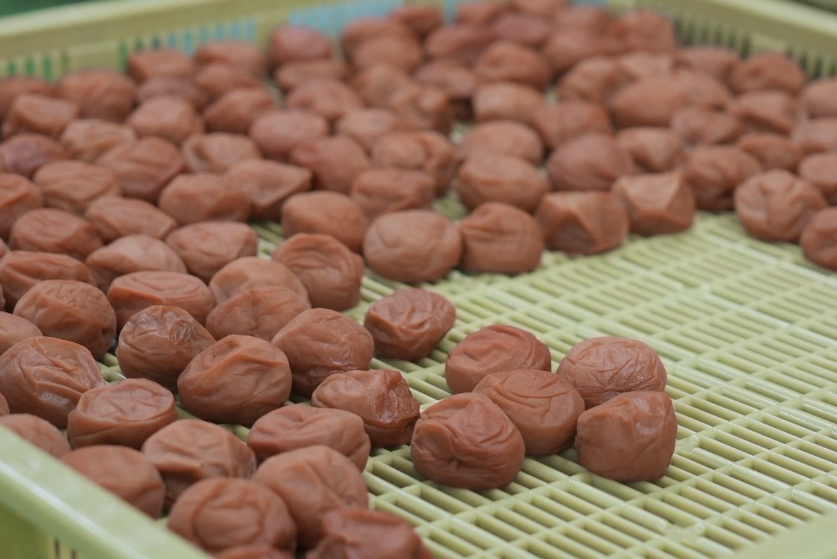 Baijuen_Umebosi's tweet photo. 梅干しは、夏の塩分補給として注目されがちですが、魅力はそれだけではありません。疲労回復や整腸効果が期待できるクエン酸や、梅由来のポリフェノールなども含まれています。夏だけでなく、一年を通しておすすめしたい食べ物です。 https://t.co/OyI7lCwe8x