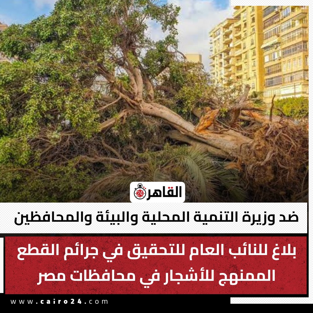 cairo24_'s tweet photo. ضد وزيرة التنمية المحلية والبيئة والمحافظين.. بلاغ للنائب العام للتحقيق في جرائم القطع الممنهج للأشجار في محافظات مصر https://t.co/85zb0Fe2v5