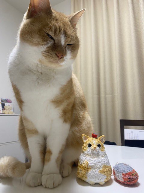 kyanecoxx's tweet photo. ◼️オーダー作品紹介◼️
茶白猫のホージーくんのマラカスと
サビ猫のウメコちゃんのにぎころオブジェを制作しました！

それぞれお気に入りの缶詰のぬいと鳥のぬいぐるみに名前を入れて別添えで制作しました☺️
ご本猫とぬいとの3ショットいただきましたよー！ https://t.co/Ikrgr9EP9Q