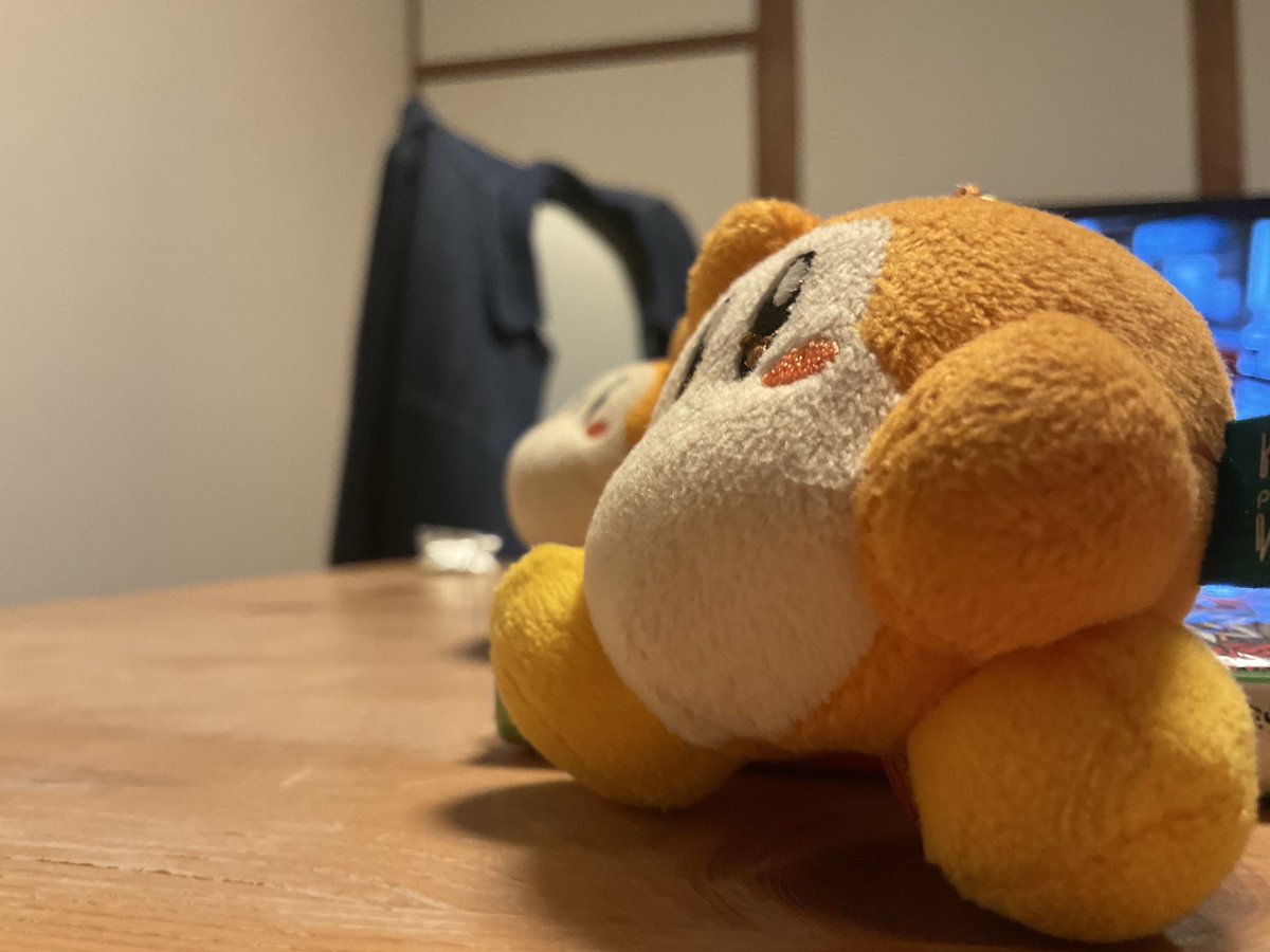 irareco's tweet photo. この、ぷっくりほっぺをッ、激写ぁ！

#ワド部 https://t.co/HRZBPWEKfP
