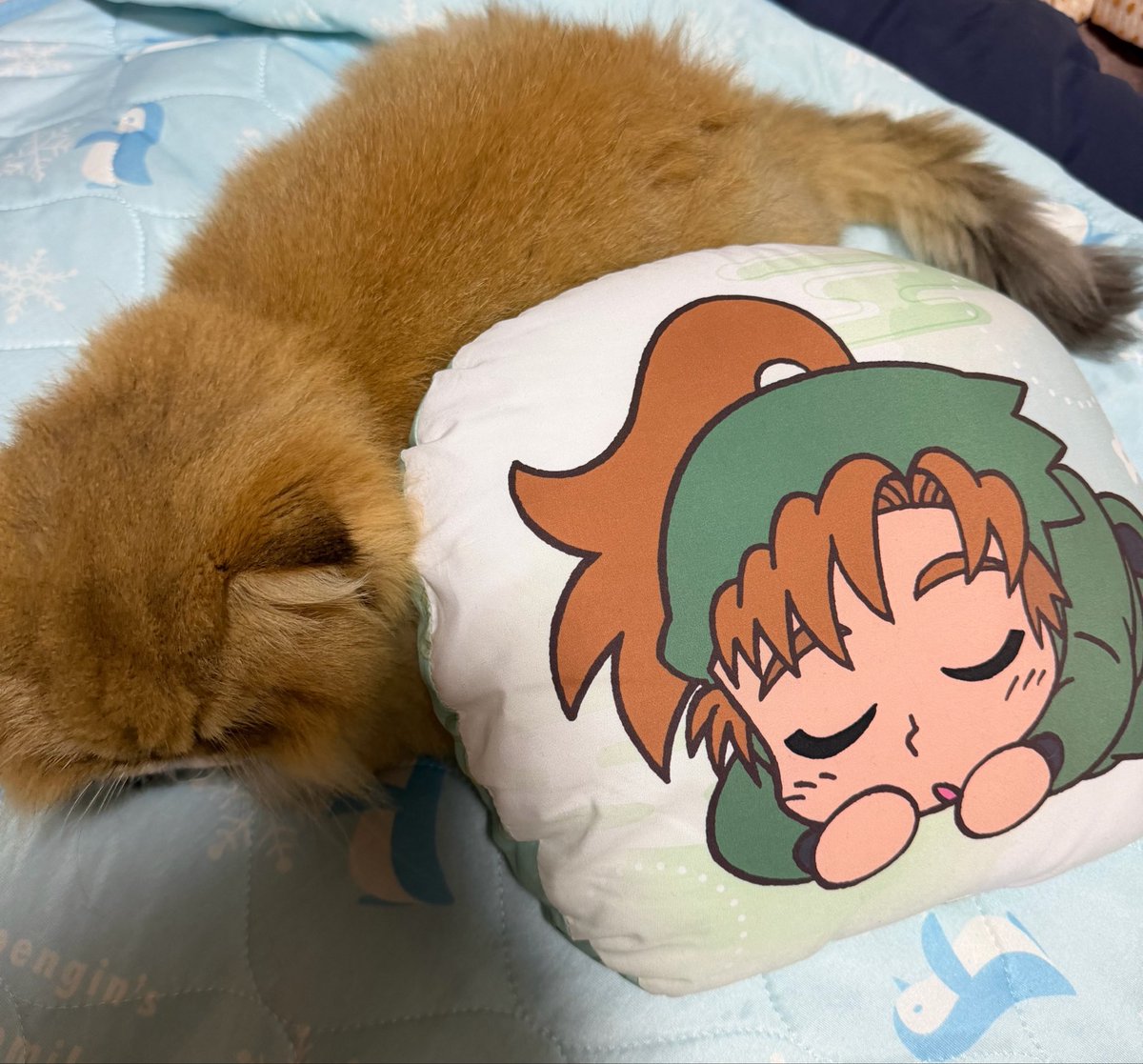 1006_kae's tweet photo. うちの猫ちゃん、伊作くんと同じ寝相💕 https://t.co/9OE8Gnbqvj