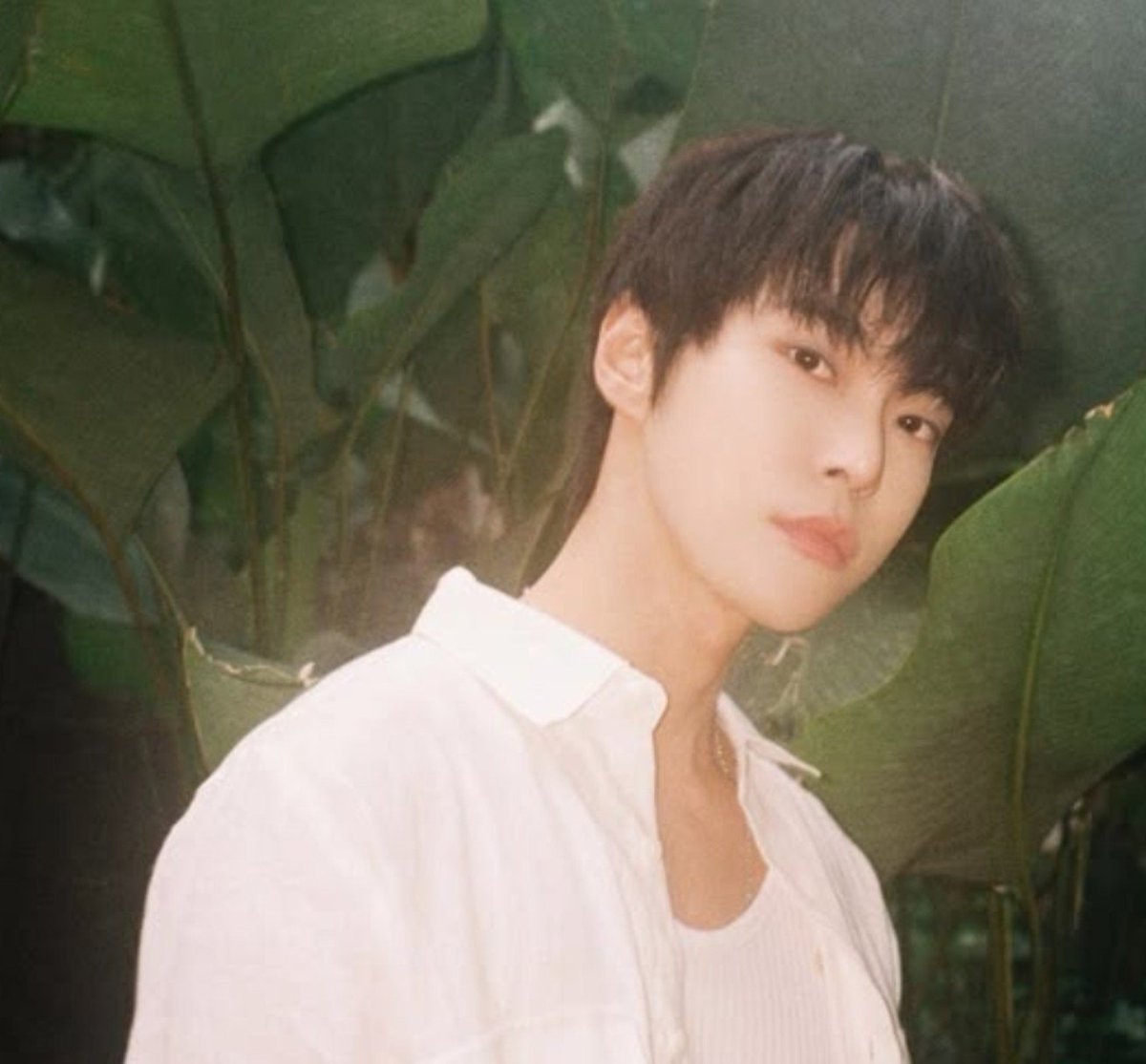 firefly_do0's tweet photo. D-274
What can I say... Extremely sensual ❤️‍🔥❤️‍🔥❤️‍🔥
#도영 #DOYOUNG https://t.co/g9bsMMSjFw