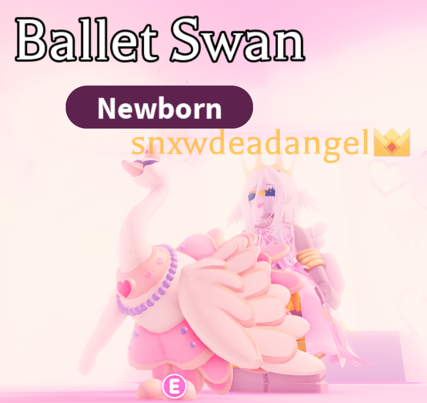 loudech0s's tweet photo. ♱⋆. Ballet Swan gw .⋆♱  
━━━━━━━━━ 
⋆.rules         
       follow        
       like n rt

make sure to join as this pet is leaving soon 😘 https://t.co/1L7GHAWBG9