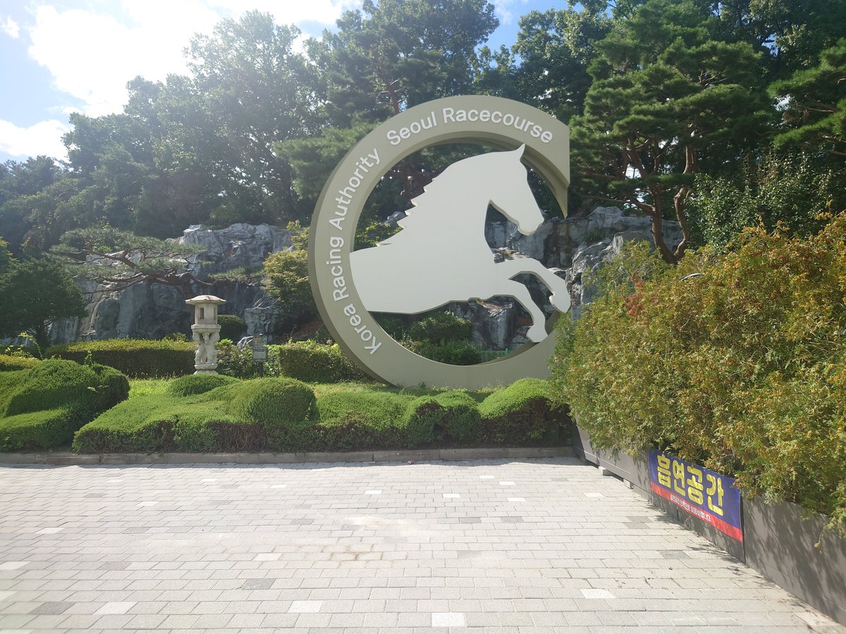 CODMW815's tweet photo. 日本馬頑張れー🙌 https://t.co/yJdKmoQyLC