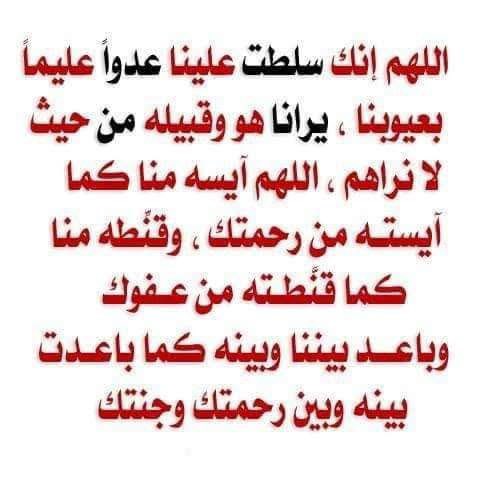 akiluno_a's tweet photo. أمين يا رب العالمين جميعا  دائما وابدا 🤲 https://t.co/wezD5fC9Ec