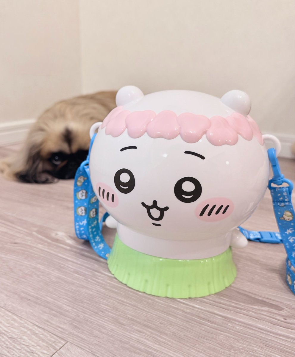 z1hitoe's tweet photo. ワルプルギスの廻天、満足度高い映画だった。が、表現の密度が高過ぎて目が忙しく感情移入しにくい。2回目の方が味わえるかも？
ちいかわのポップコーンバケットにやっと出会えたので買ってしまった🏝️ https://t.co/so9TQ5qaO7