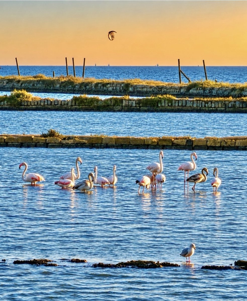 Vale22046's tweet photo. Ognuno trova la propria rotta anche nell’infinito mare.

#GeografiaDellAnima a #CasaLettori

#buongiorno 

📸Martino Trapani https://t.co/knAViqKzUc