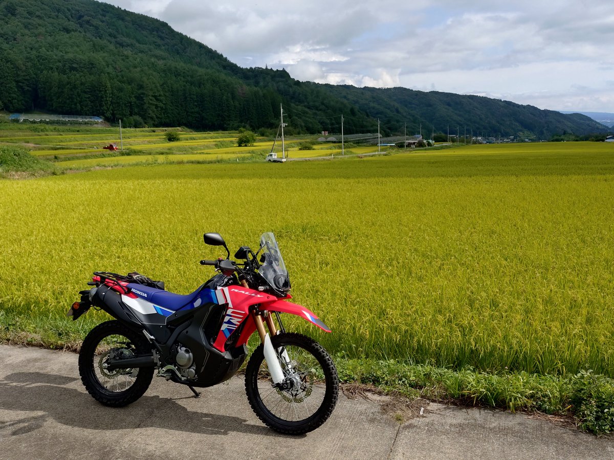 akivfr's tweet photo. 今日は雨降り☔☔

昨日のちょい乗りでUPしてなかったpicを🏍️

#CRF250RALLY https://t.co/sgIFRmzz5v