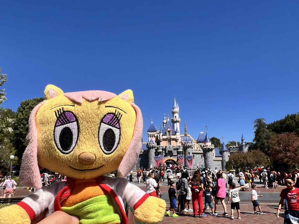 PaulaFoxPlush's tweet photo. seems like paula had an eventful day! https://t.co/RSgqLDwTWx